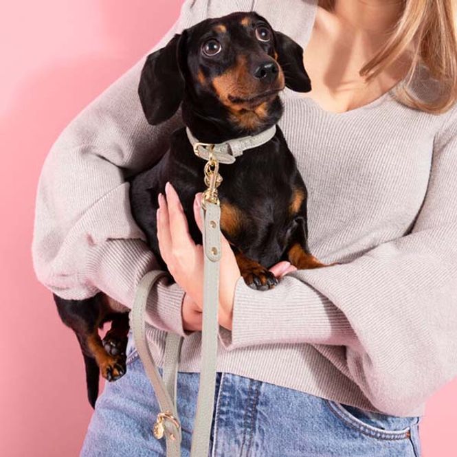 Hovedbilde Hundehalsbånd I'M PAW-FECT grå XS Katie Loxton